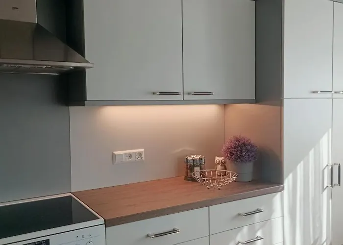 Zur Tischlerei شقة